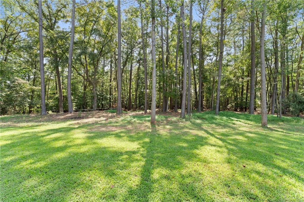 1061 Fisher Rd Property Photo 43