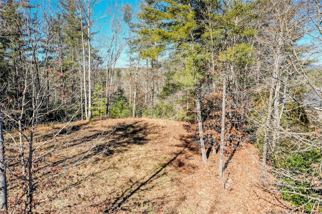 223 Long Cove Ct Property Photo 3