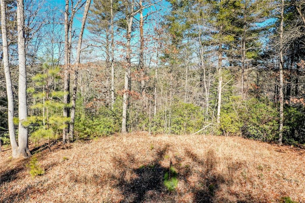 223 Long Cove Ct Property Photo 6
