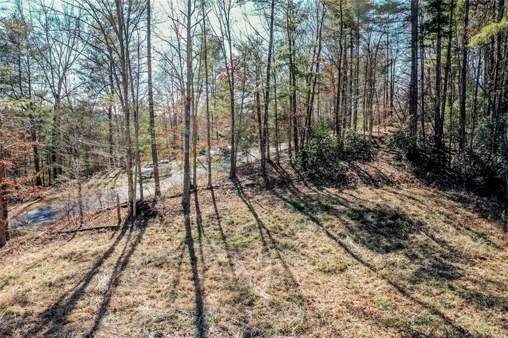 223 Long Cove Ct Property Photo 10