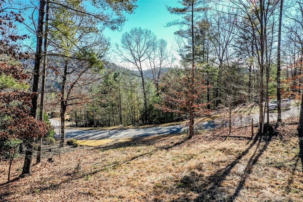 223 Long Cove Ct Property Photo 19