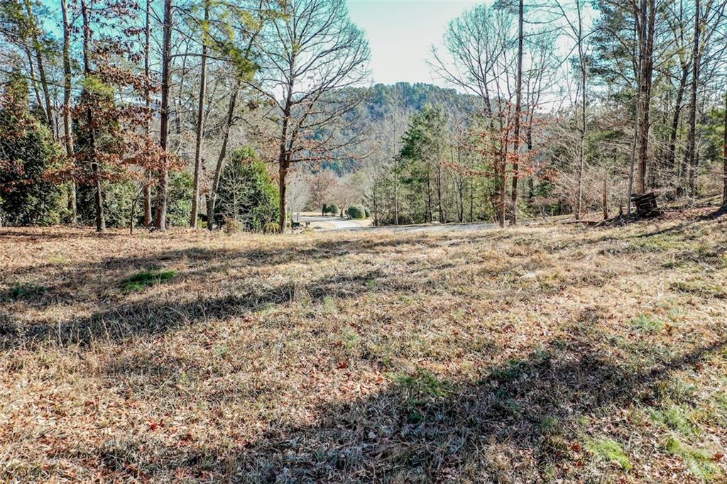 223 Long Cove Ct Property Photo 20