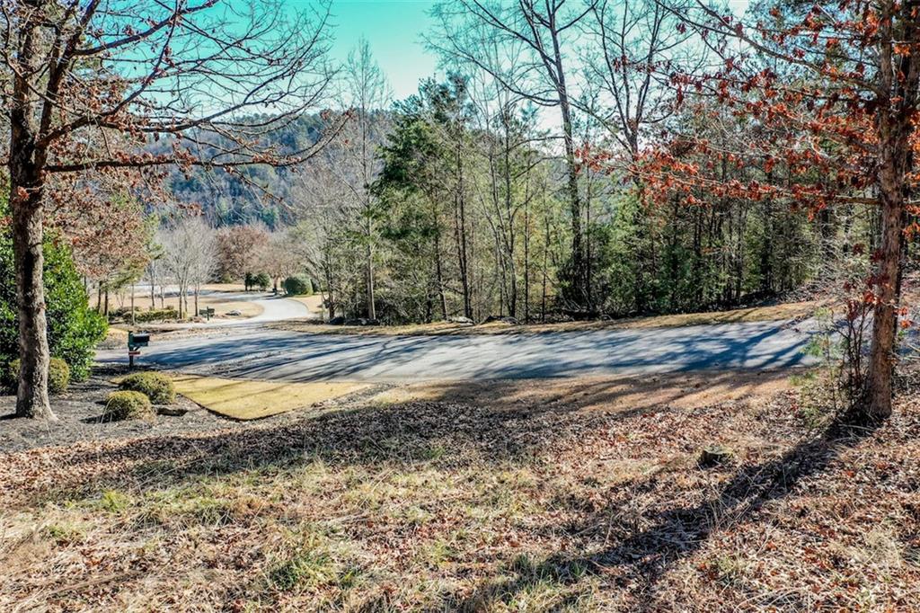 223 Long Cove Ct Property Photo 21