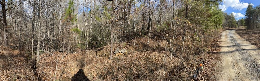 161 Chauga Shoals Rd Property Photo 4