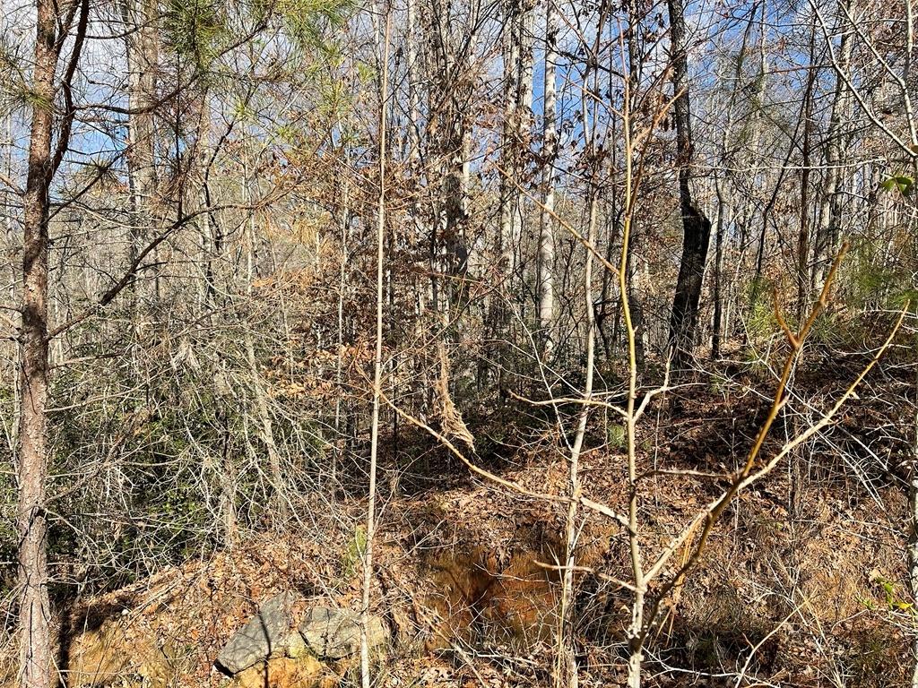 161 Chauga Shoals Rd Property Photo 6