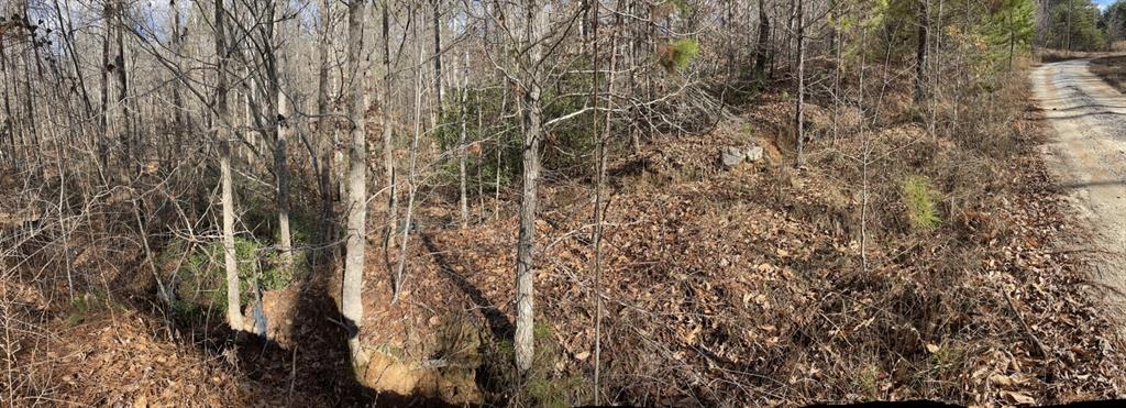 161 Chauga Shoals Rd Property Photo 8