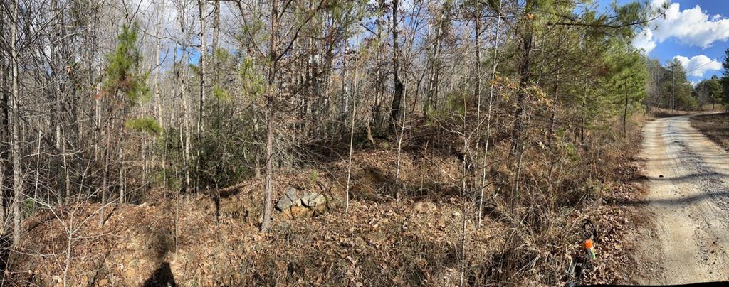 161 Chauga Shoals Rd Property Photo 11