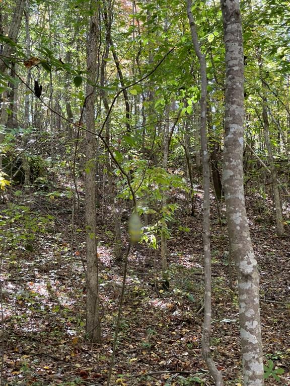 161 Chauga Shoals Rd Property Photo 14