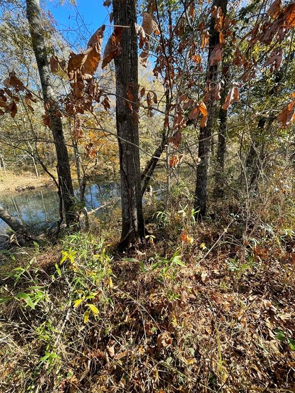 161 Chauga Shoals Rd Property Photo 20