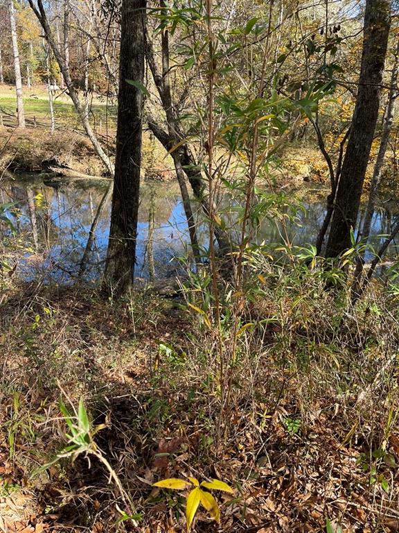 161 Chauga Shoals Rd Property Photo 21