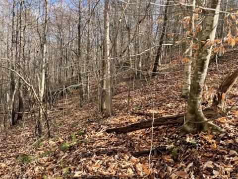 161 Chauga Shoals Rd Property Photo 22