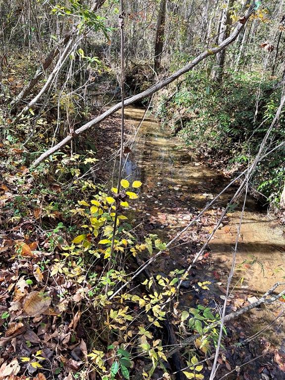 161 Chauga Shoals Rd Property Photo 23