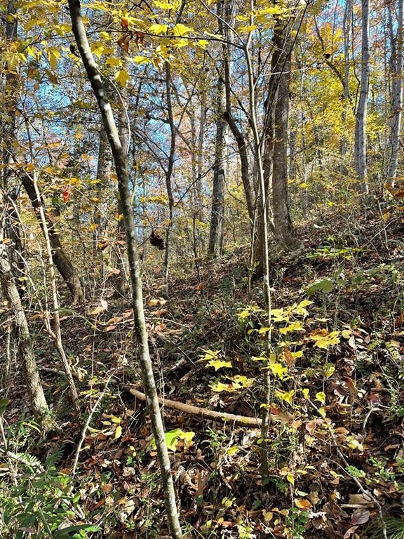 161 Chauga Shoals Rd Property Photo 25