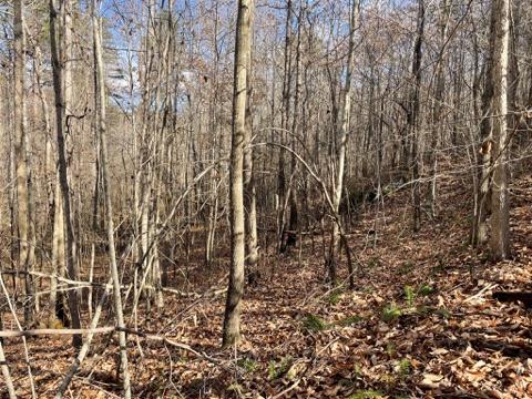 161 Chauga Shoals Rd Property Photo 26