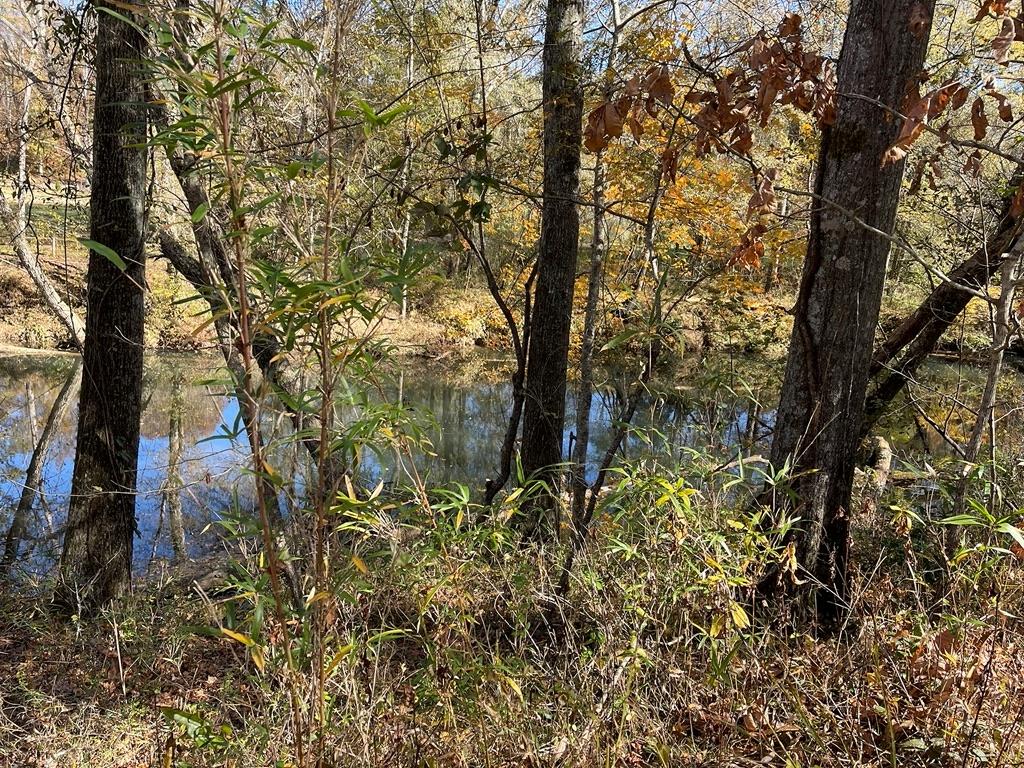 161 Chauga Shoals Rd Property Photo 27