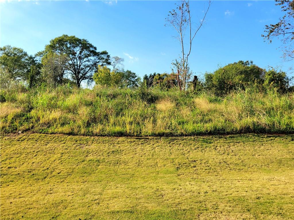 156 Laurel Oak Dr Property Photo 20