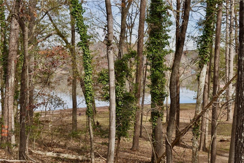 1289 Ridgemore Dr Property Photo 4