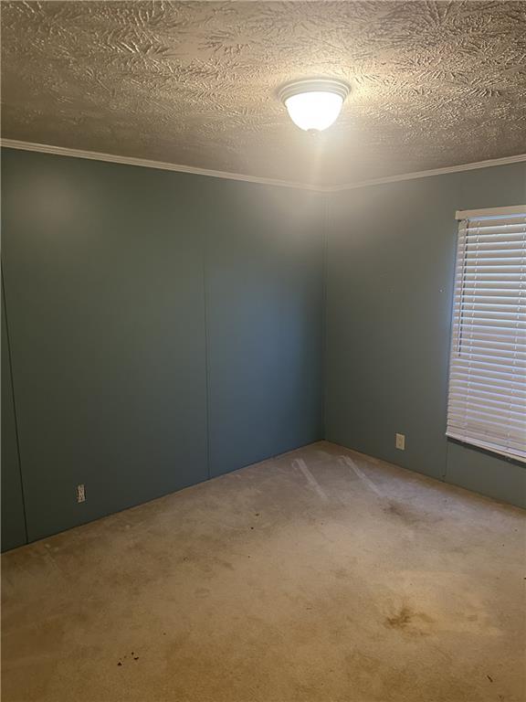 275 Jim Hunt Rd Property Photo 16