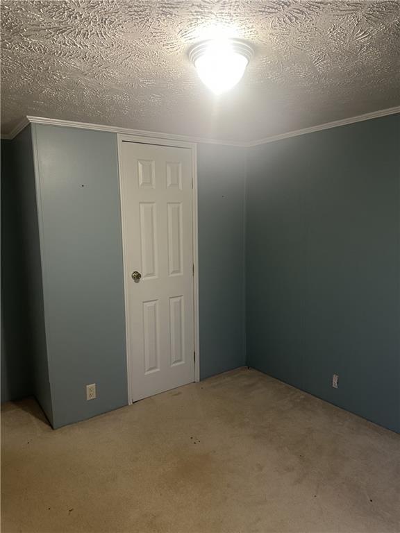 275 Jim Hunt Rd Property Photo 17