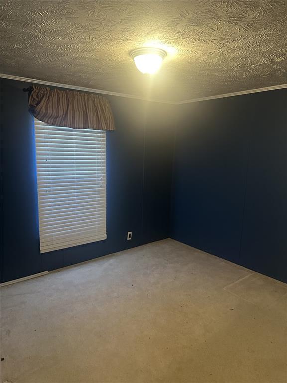 275 Jim Hunt Rd Property Photo 18