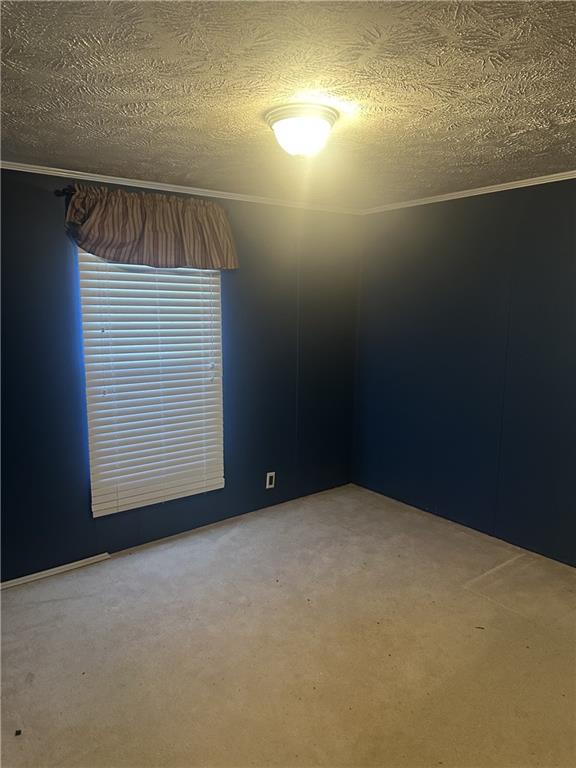 275 Jim Hunt Rd Property Photo 19