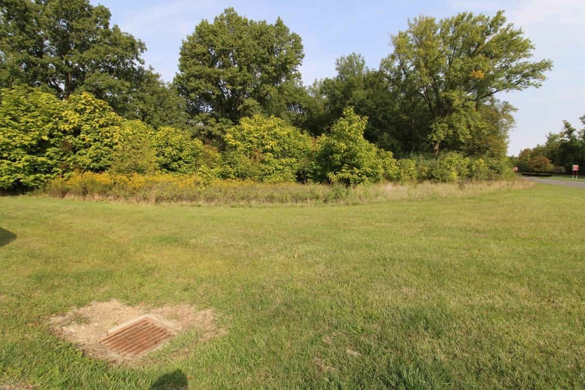 0 Spring View Drive Property Photo 4
