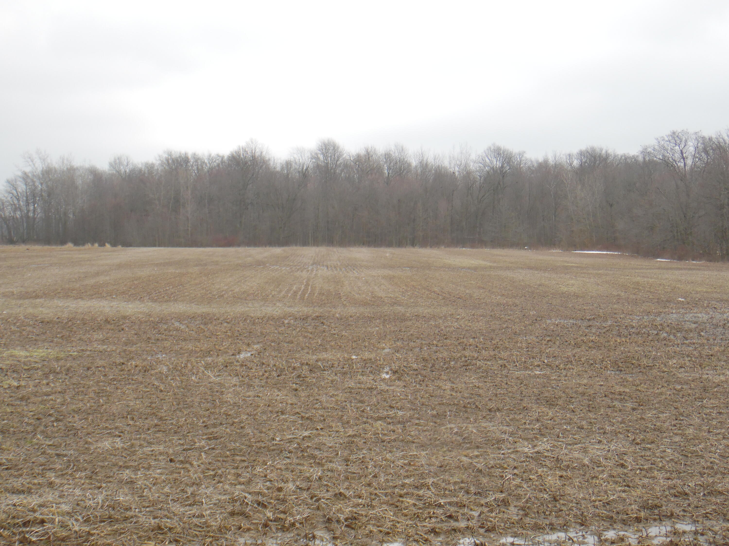 0 County Road 97 Property Photo