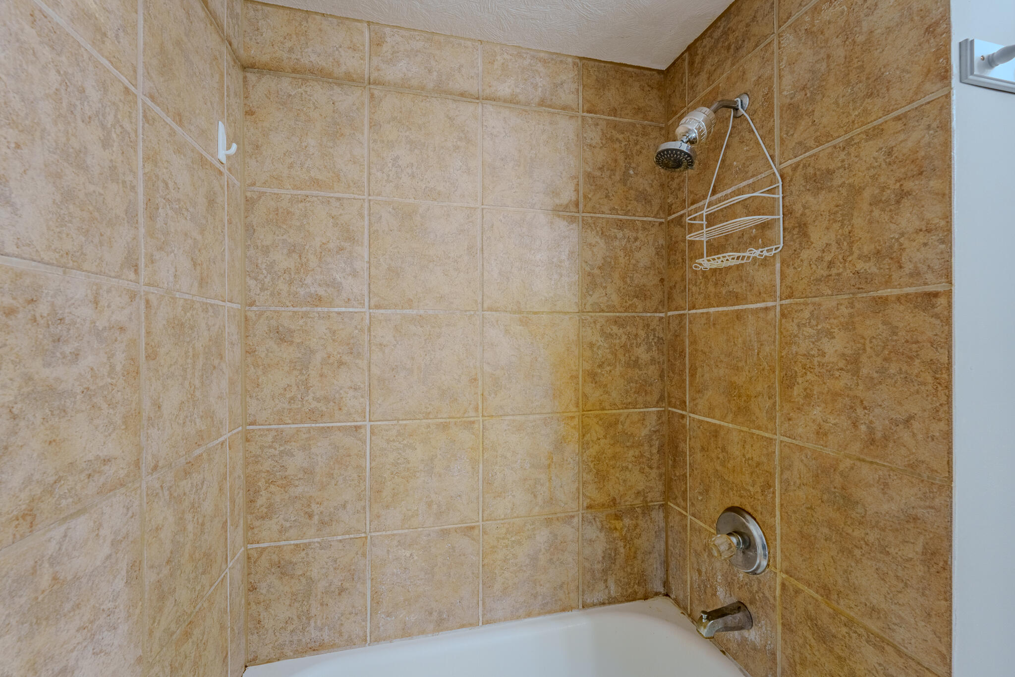 11385 Horseshoe Channel Drive Property Photo 37