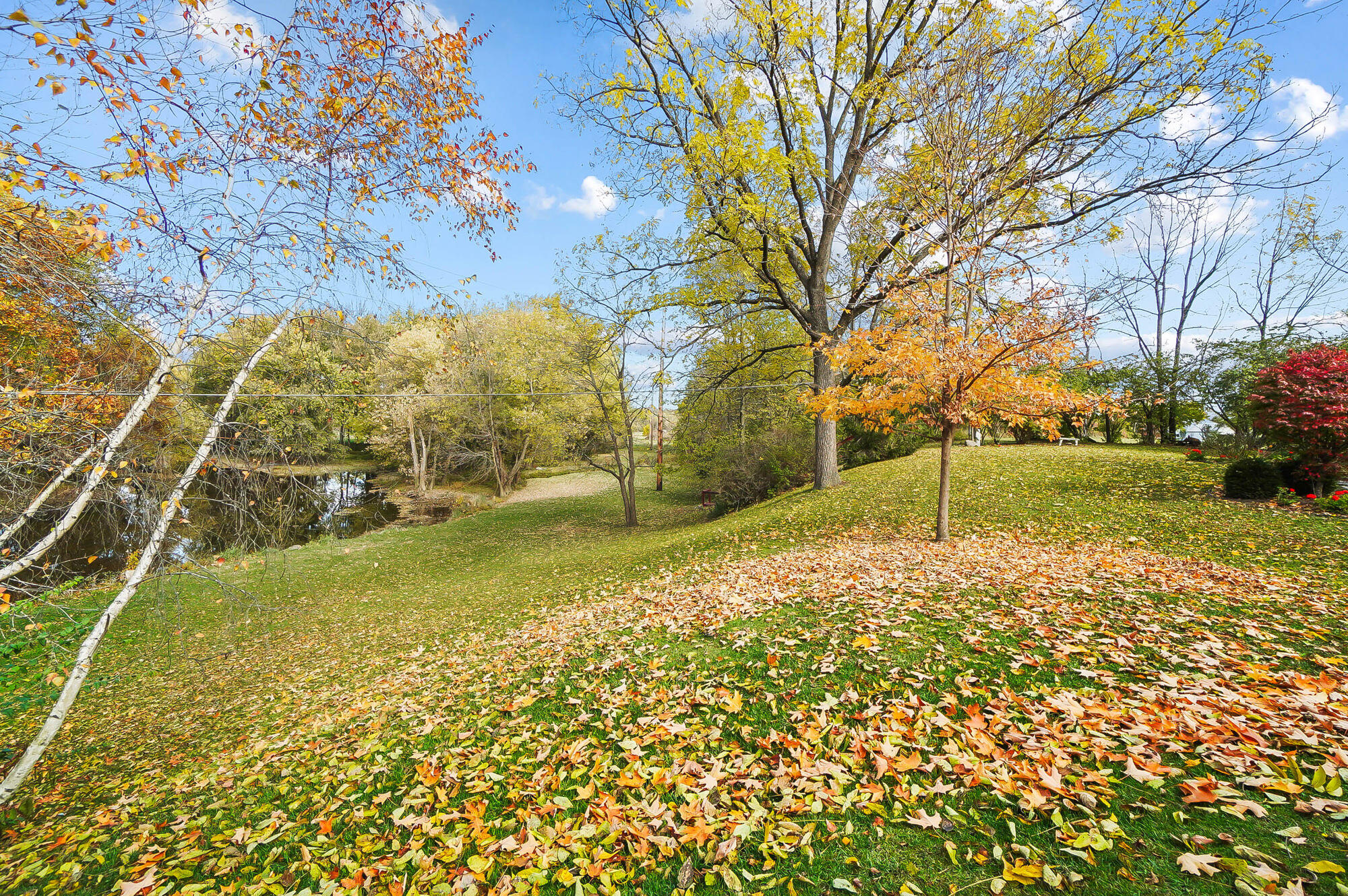 1100 Auglaize Property Photo 79