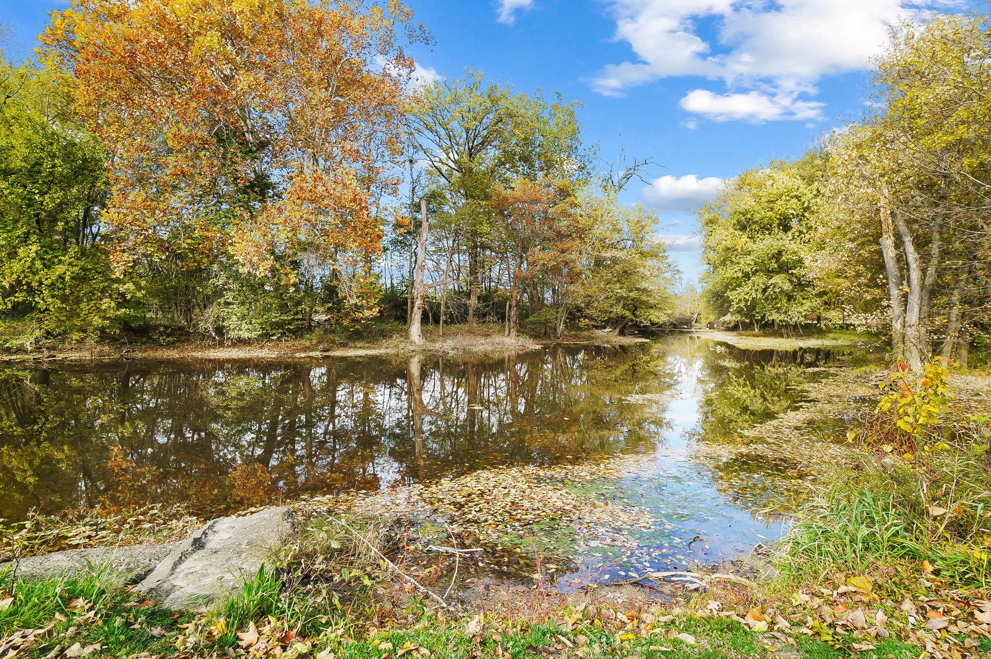 1100 Auglaize Property Photo 85