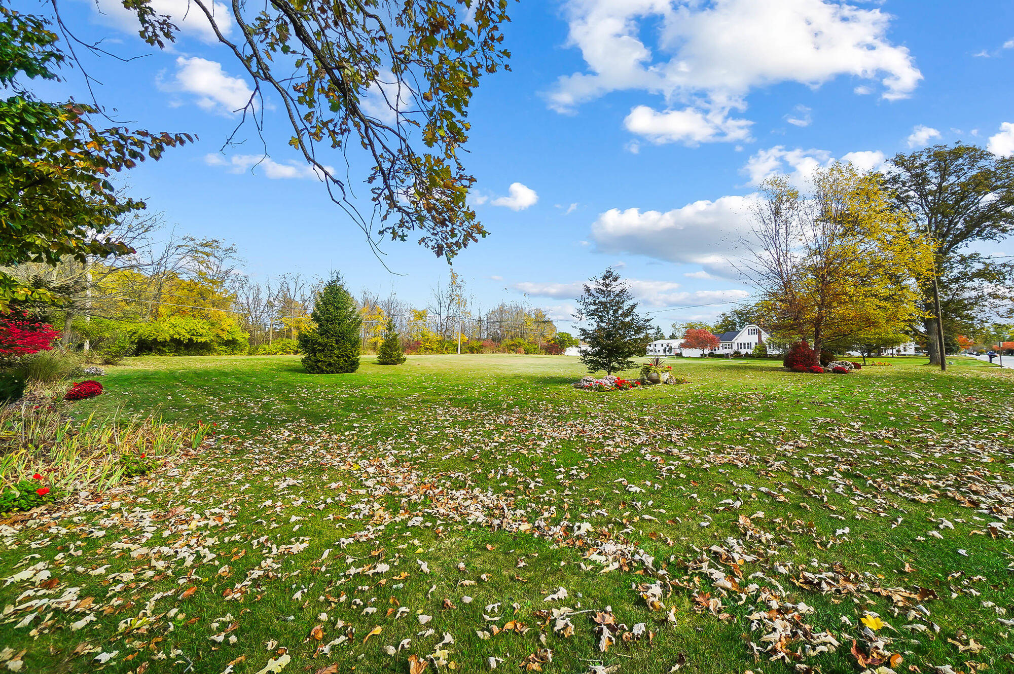 1100 Auglaize Property Photo 87