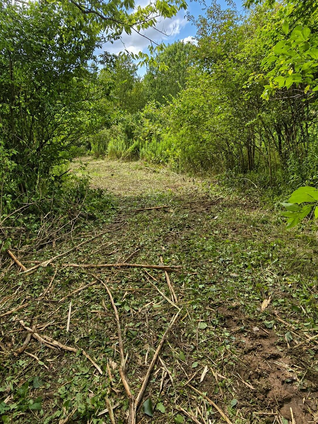 5143 S Pitchin Road Property Photo 3