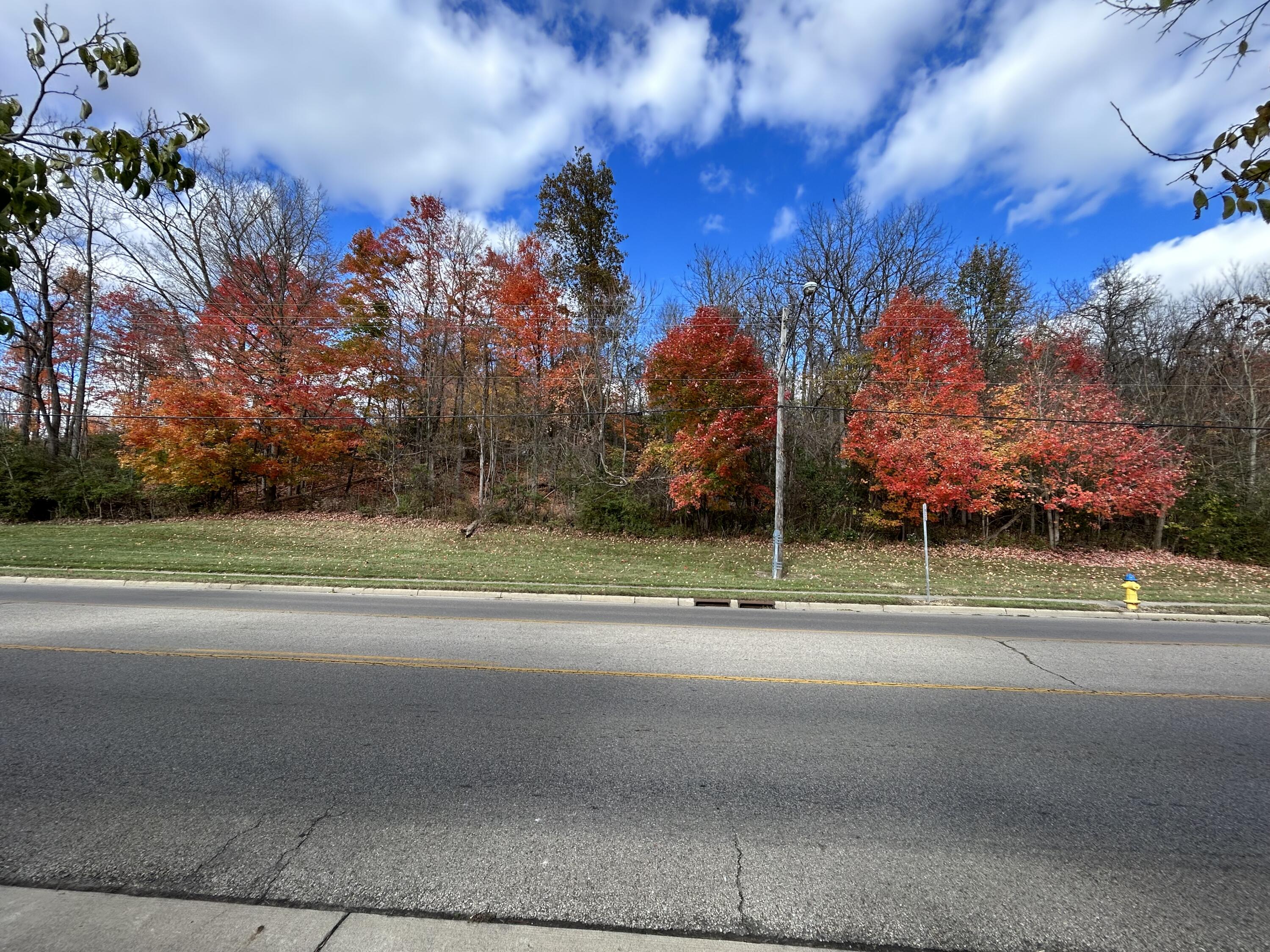 1710 Mitchell Boulevard Property Photo 7