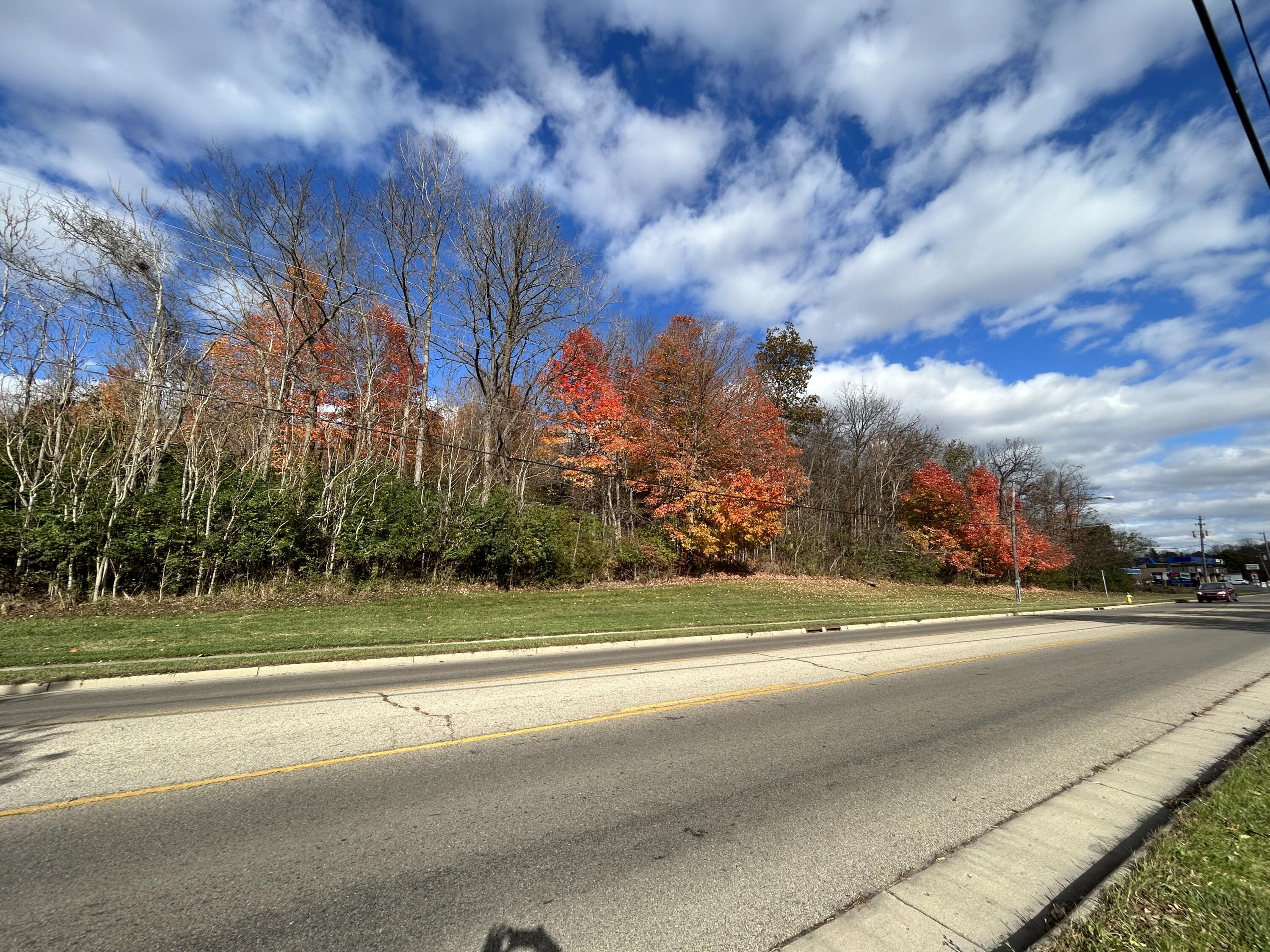 1710 Mitchell Boulevard Property Photo 8