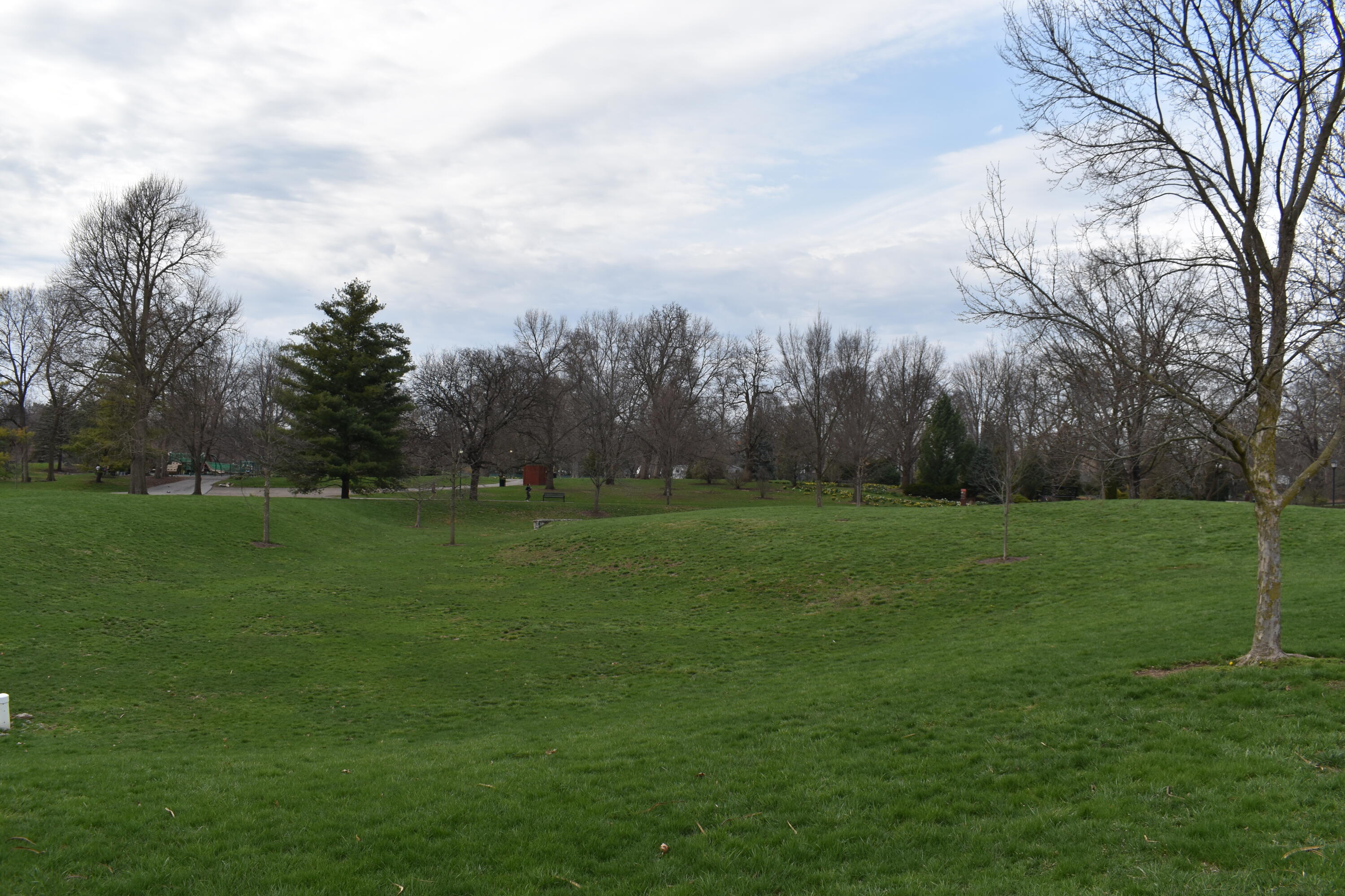 1815 S Franklin Park Property Photo 23