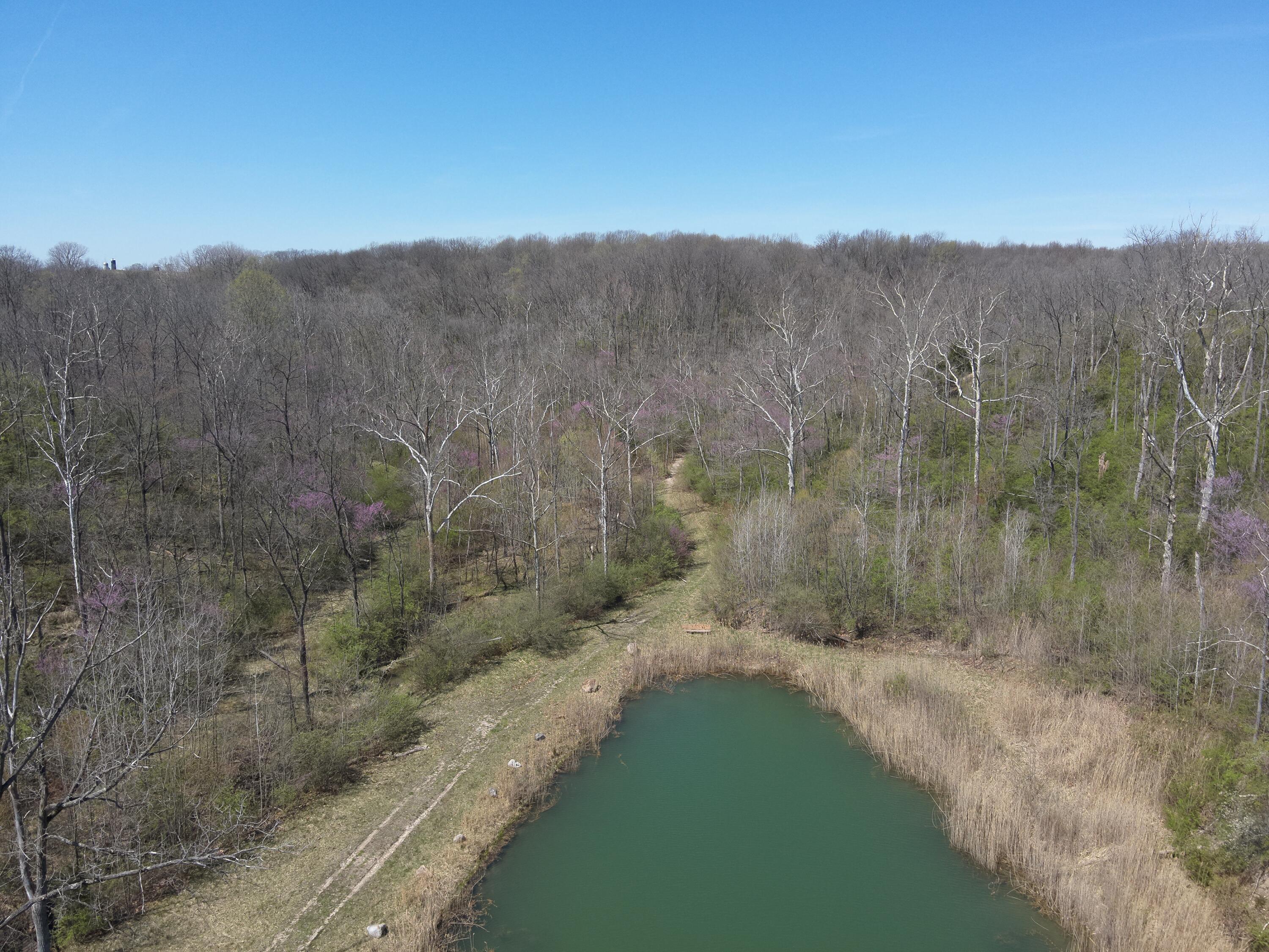 121 State Property Photo 6