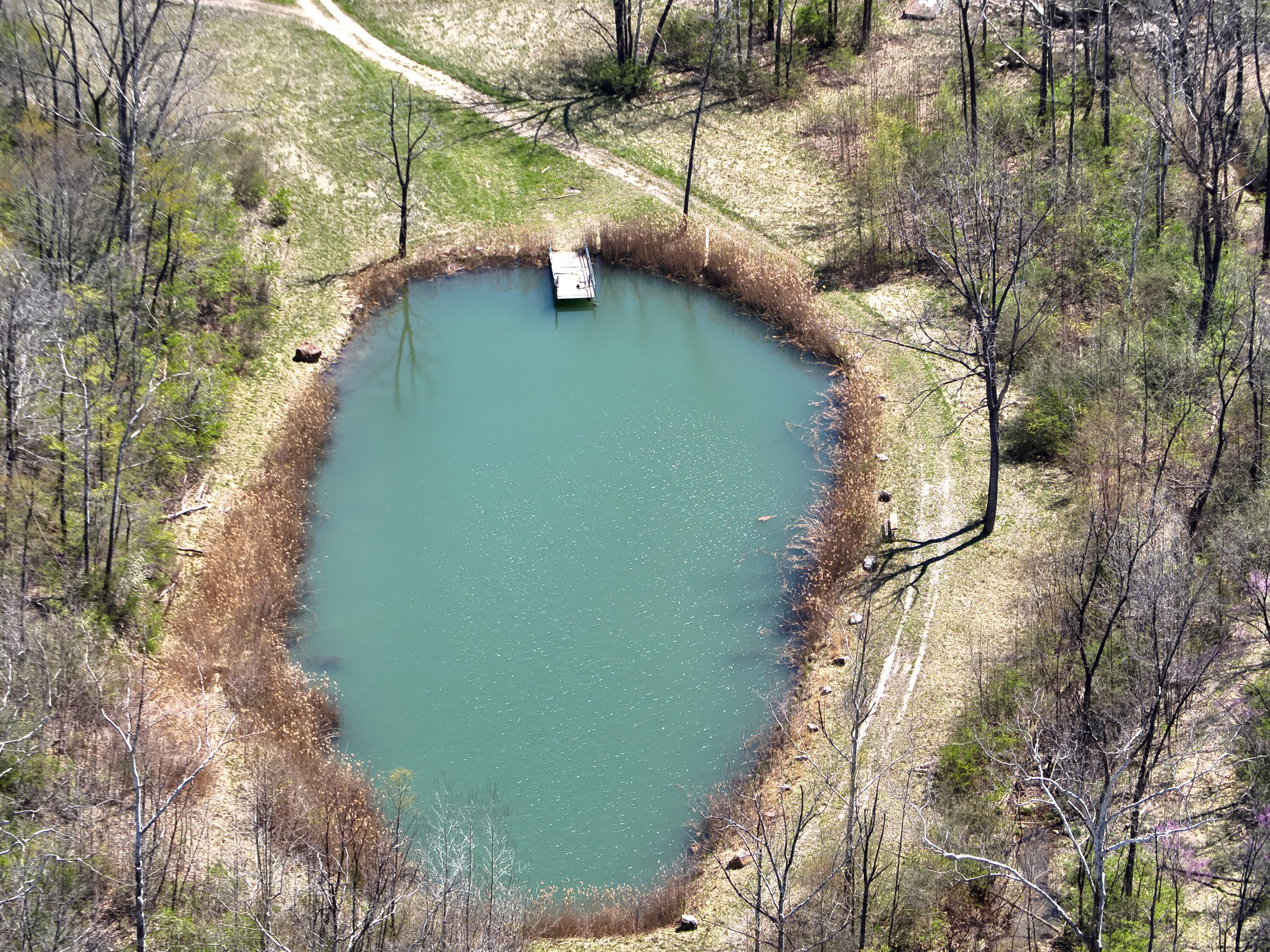 121 State Property Photo 9