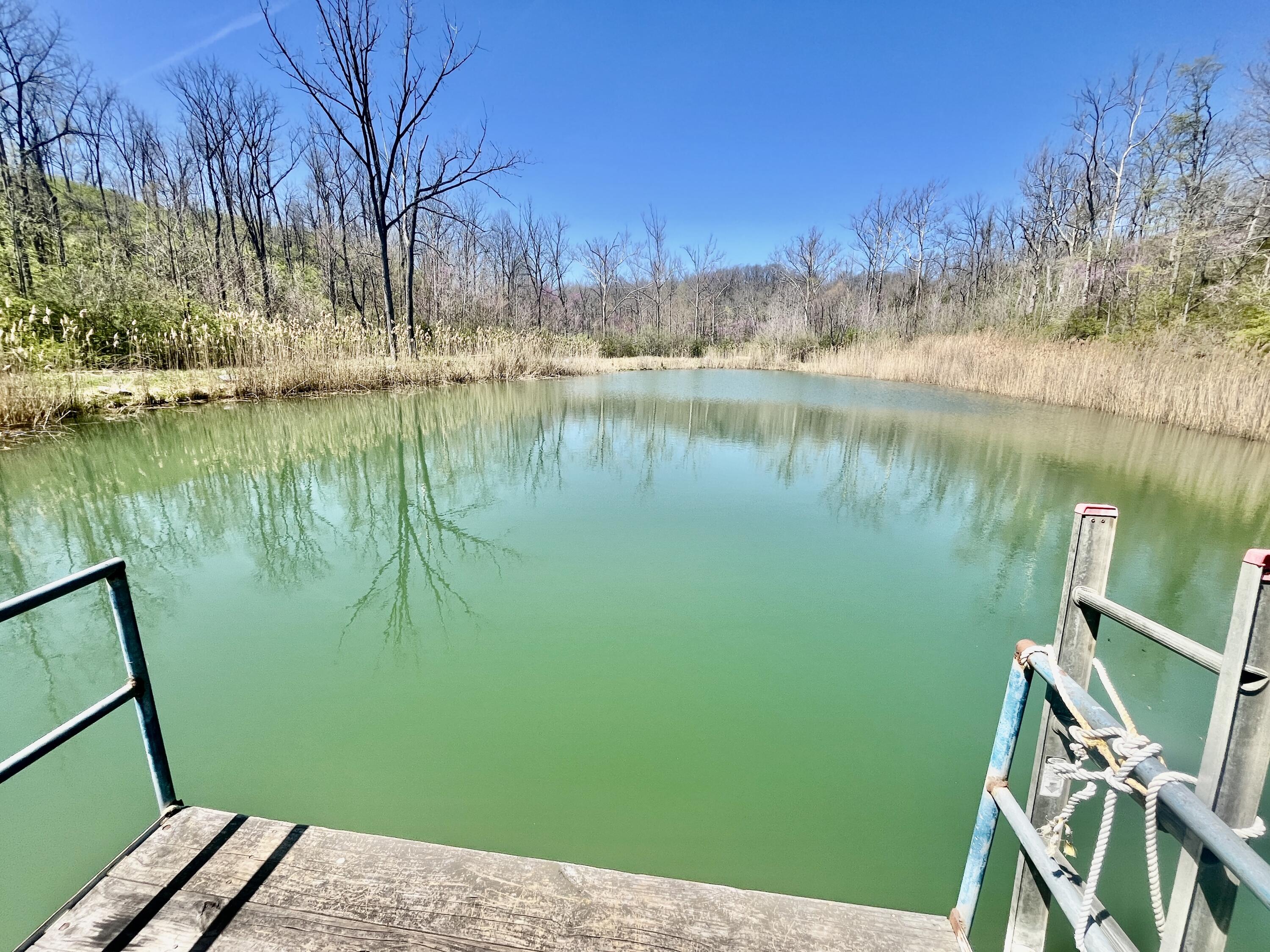 121 State Property Photo 19