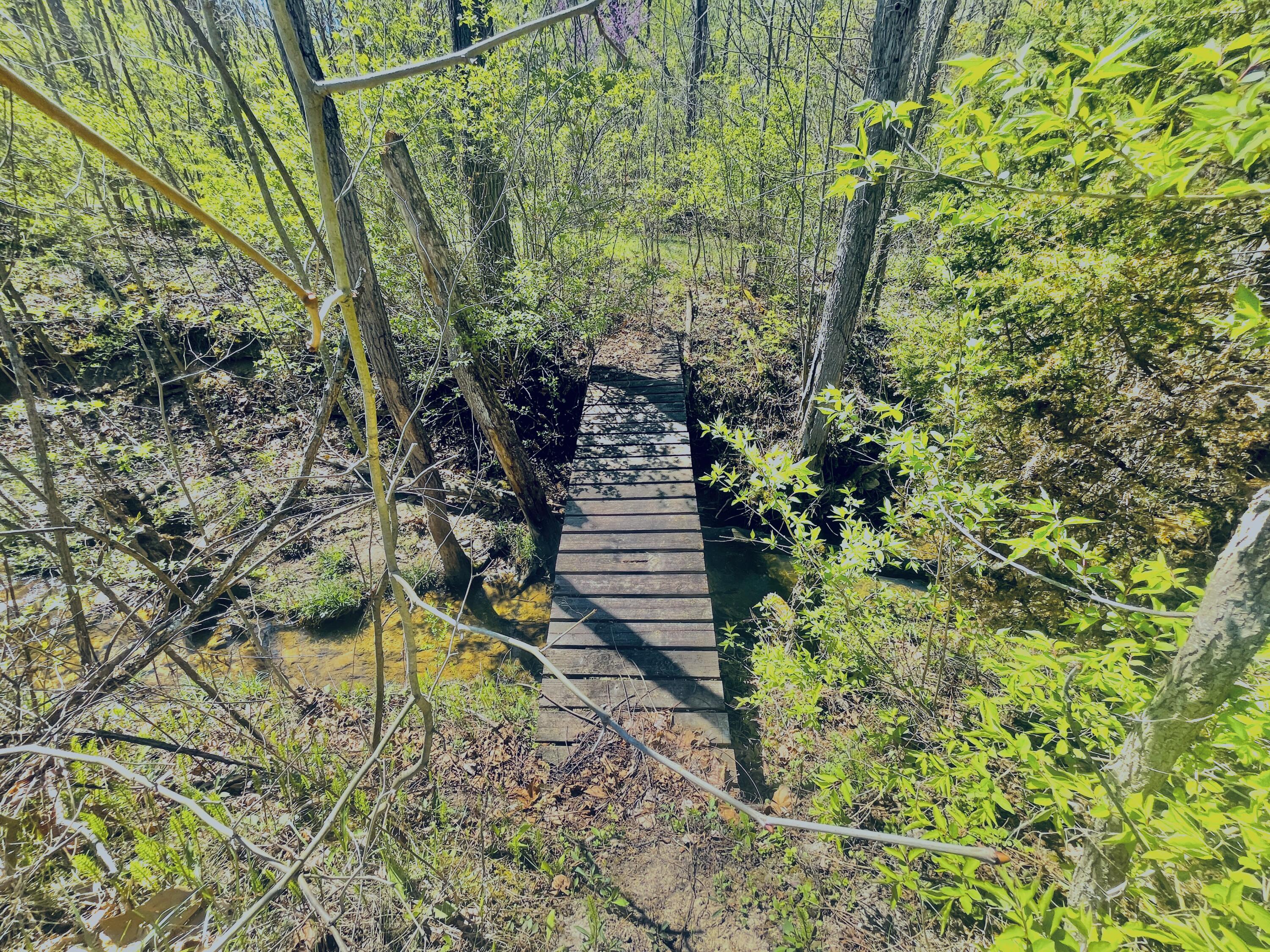 121 State Property Photo 21