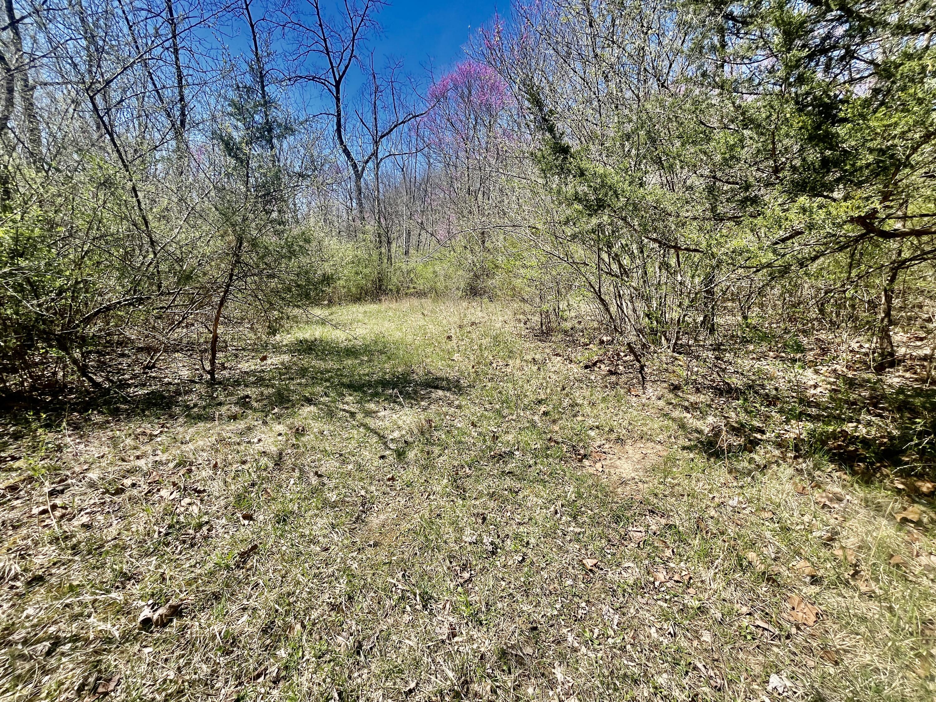 121 State Property Photo 22