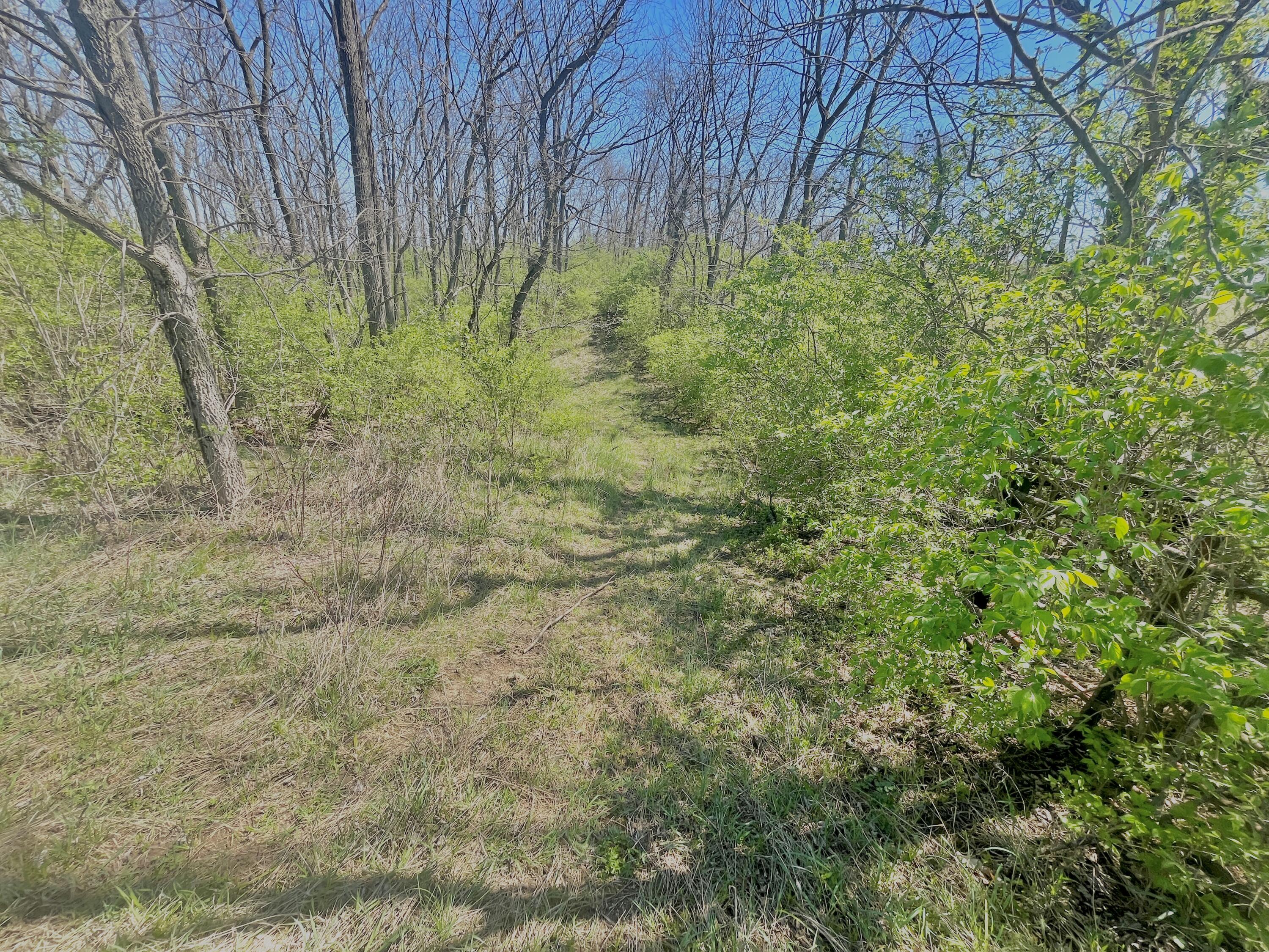 121 State Property Photo 26