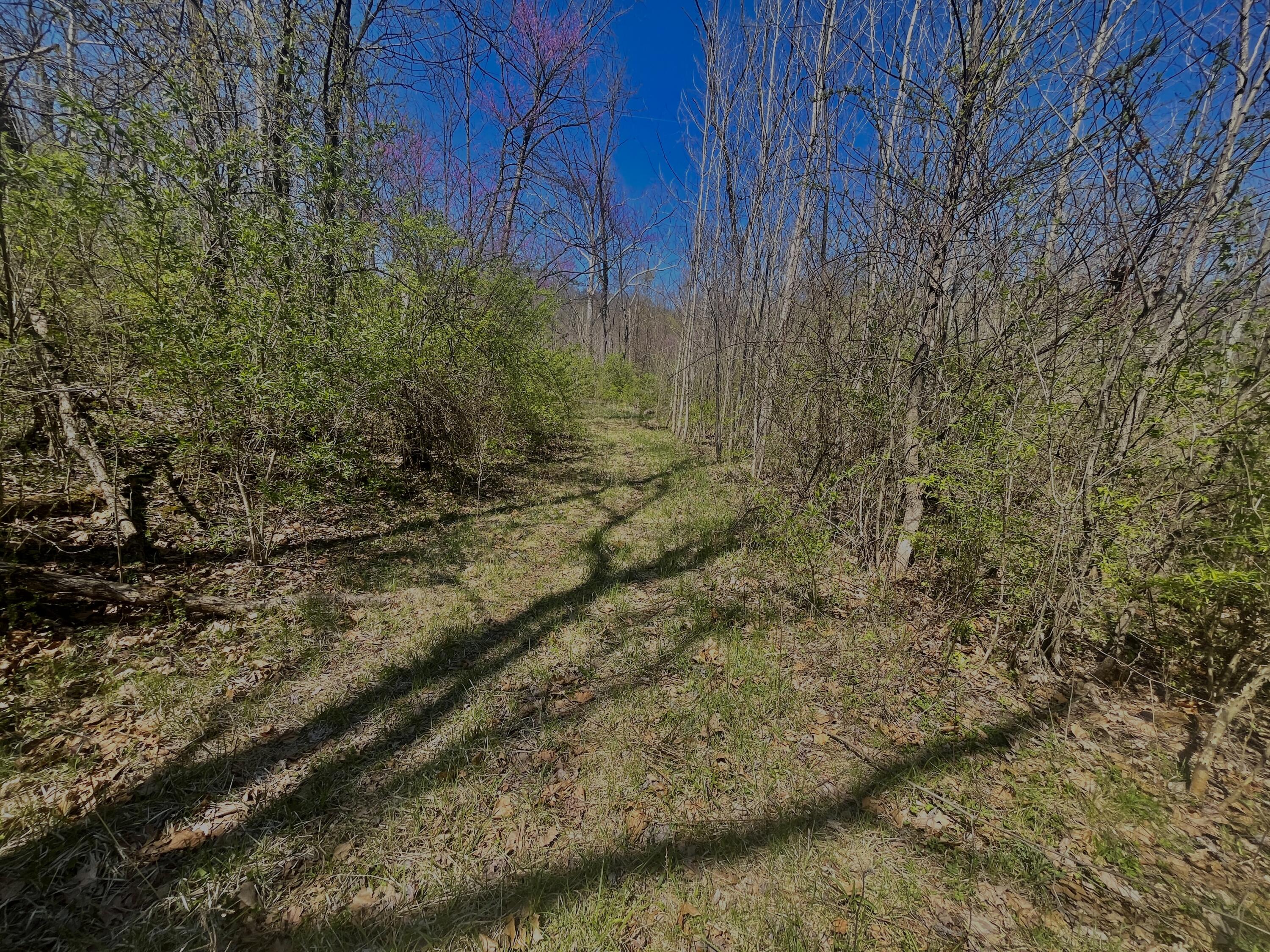 121 State Property Photo 27