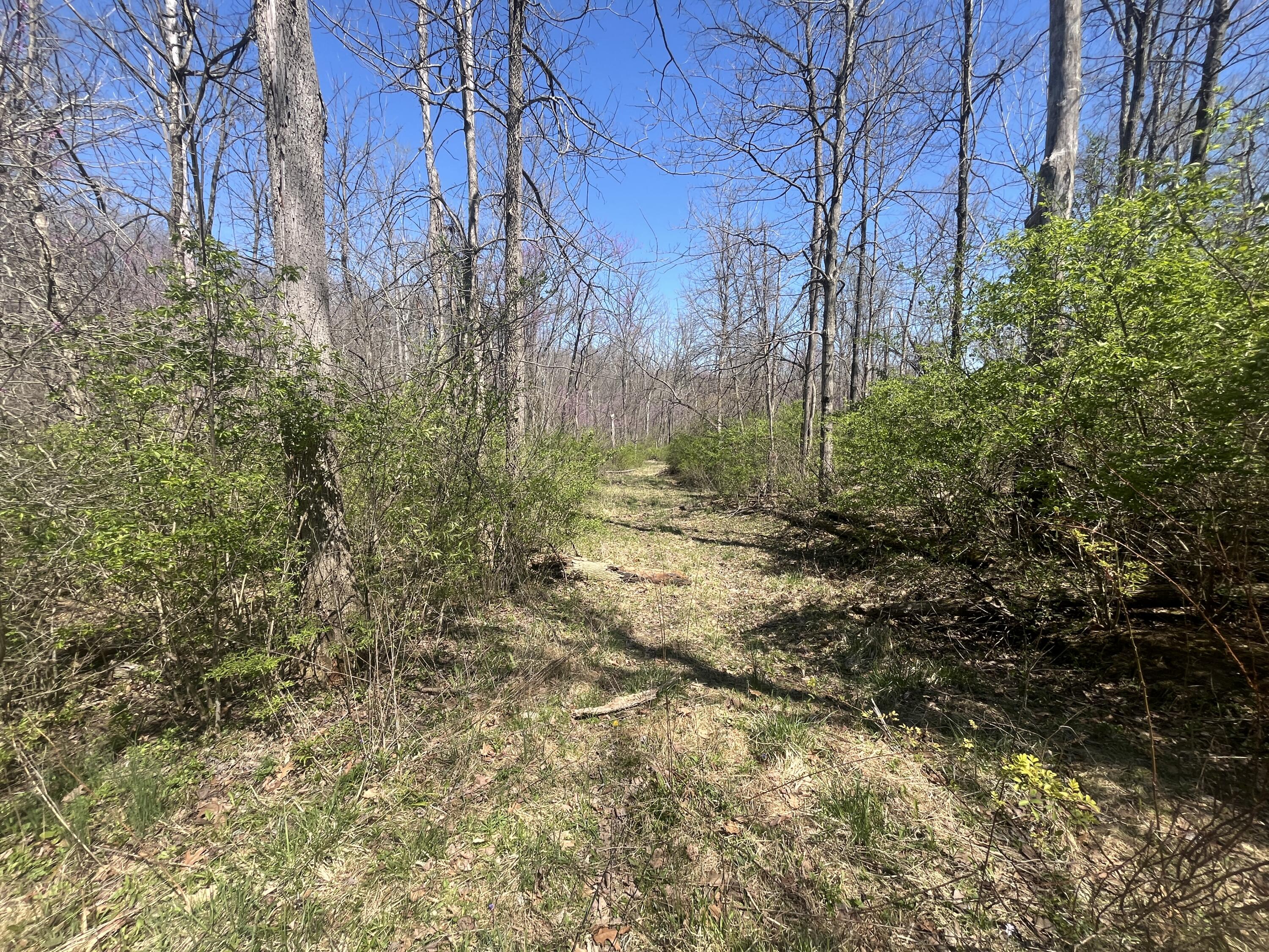 121 State Property Photo 28