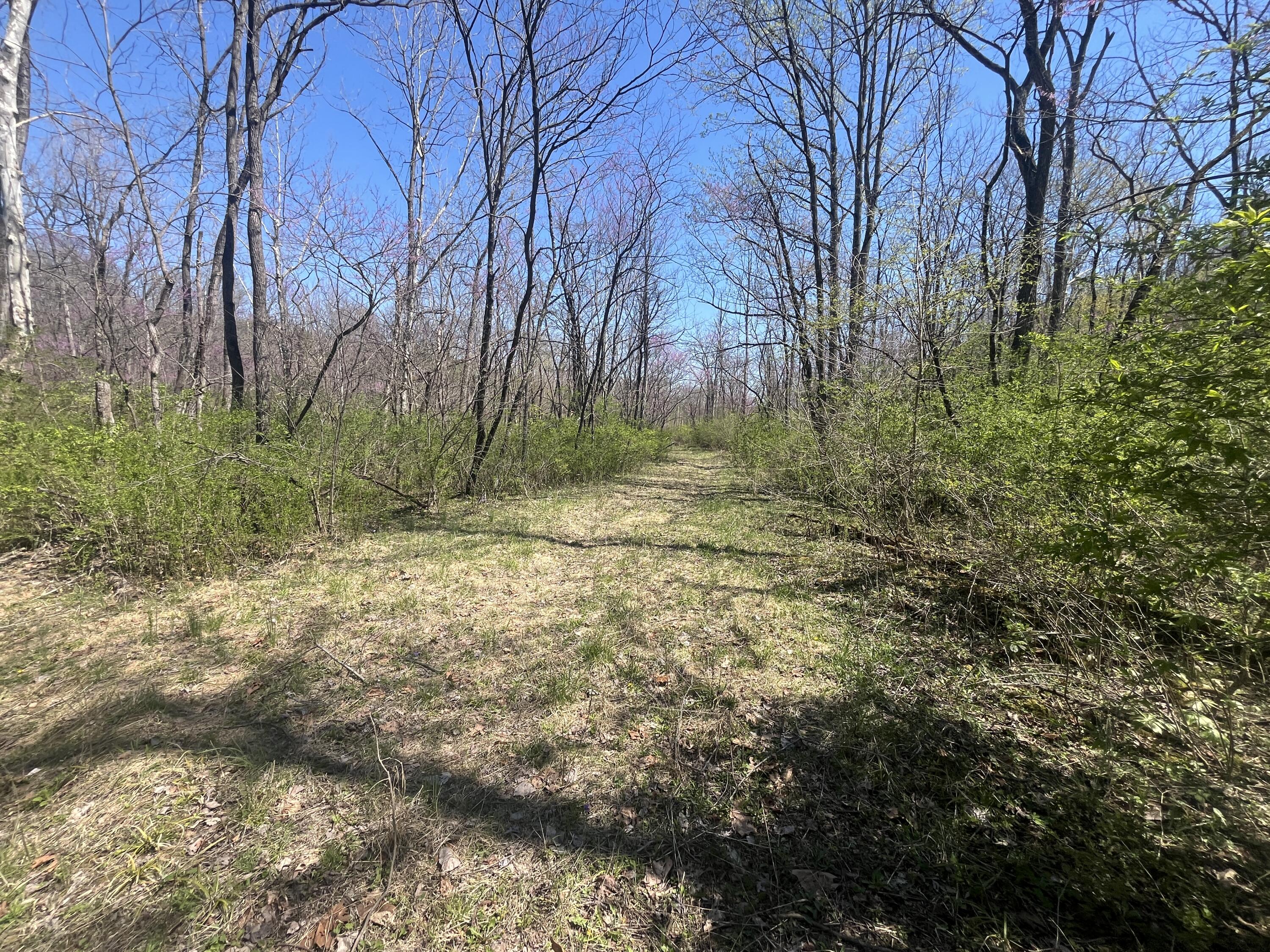 121 State Property Photo 29