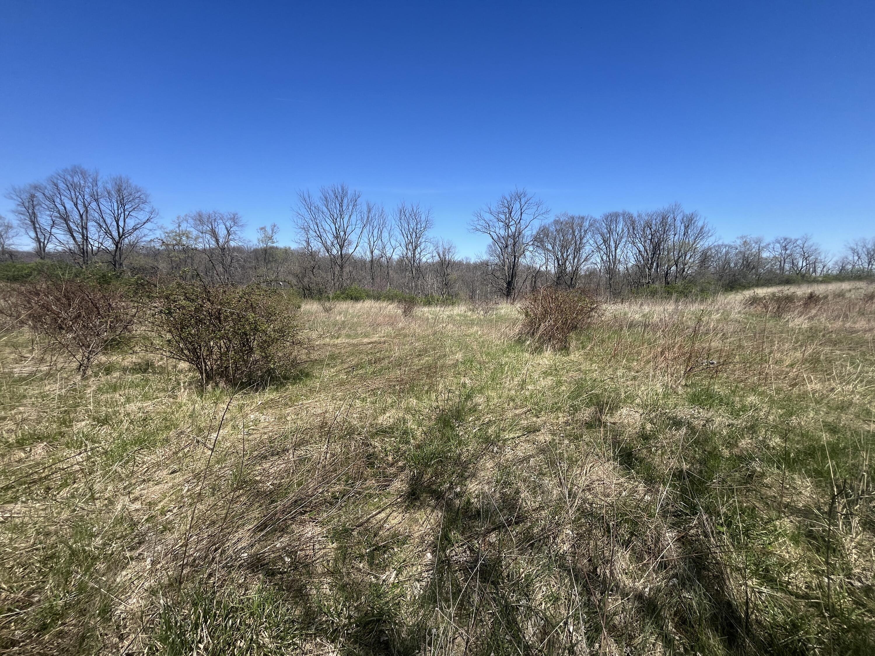 121 State Property Photo 31