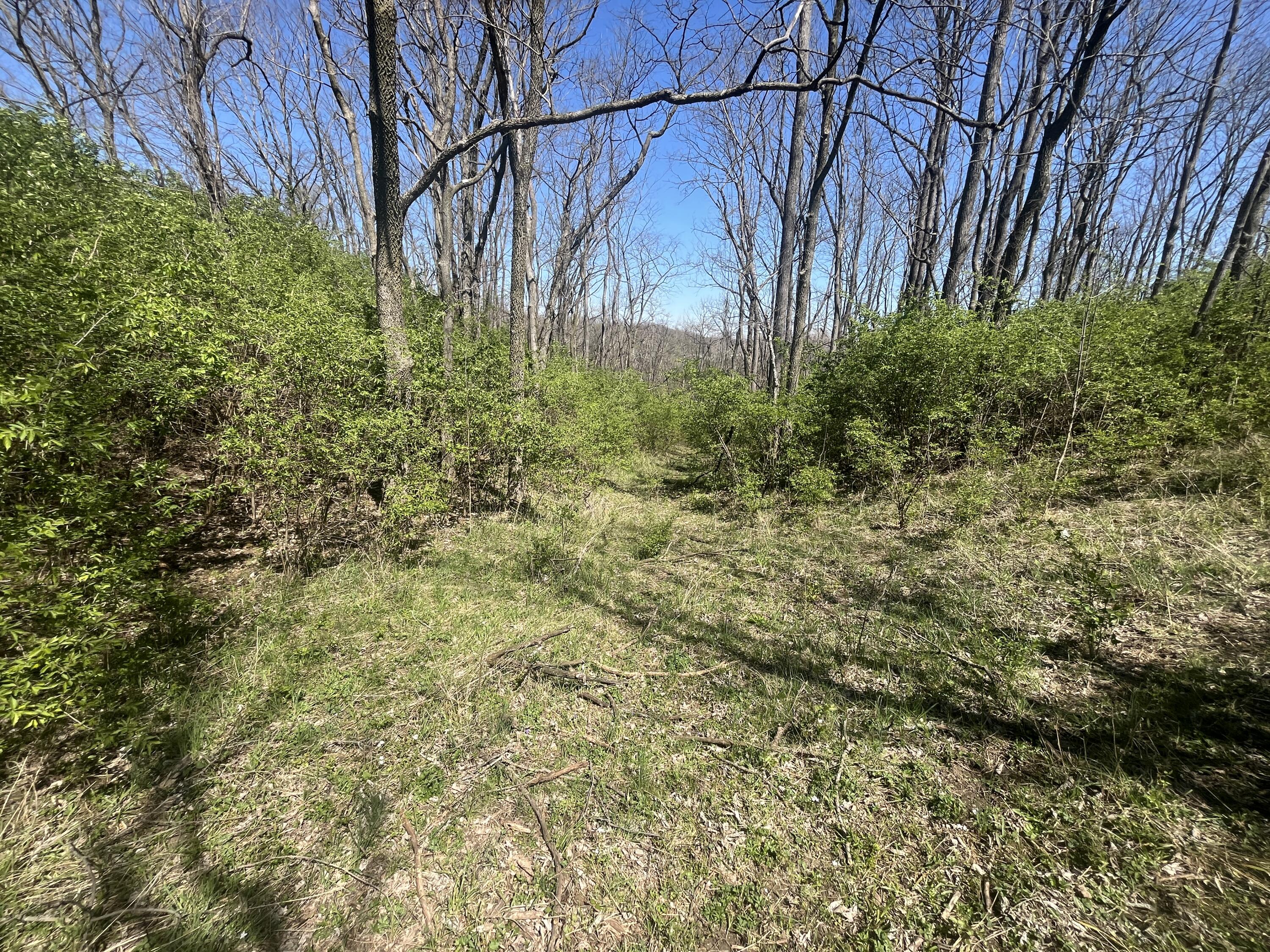 121 State Property Photo 33