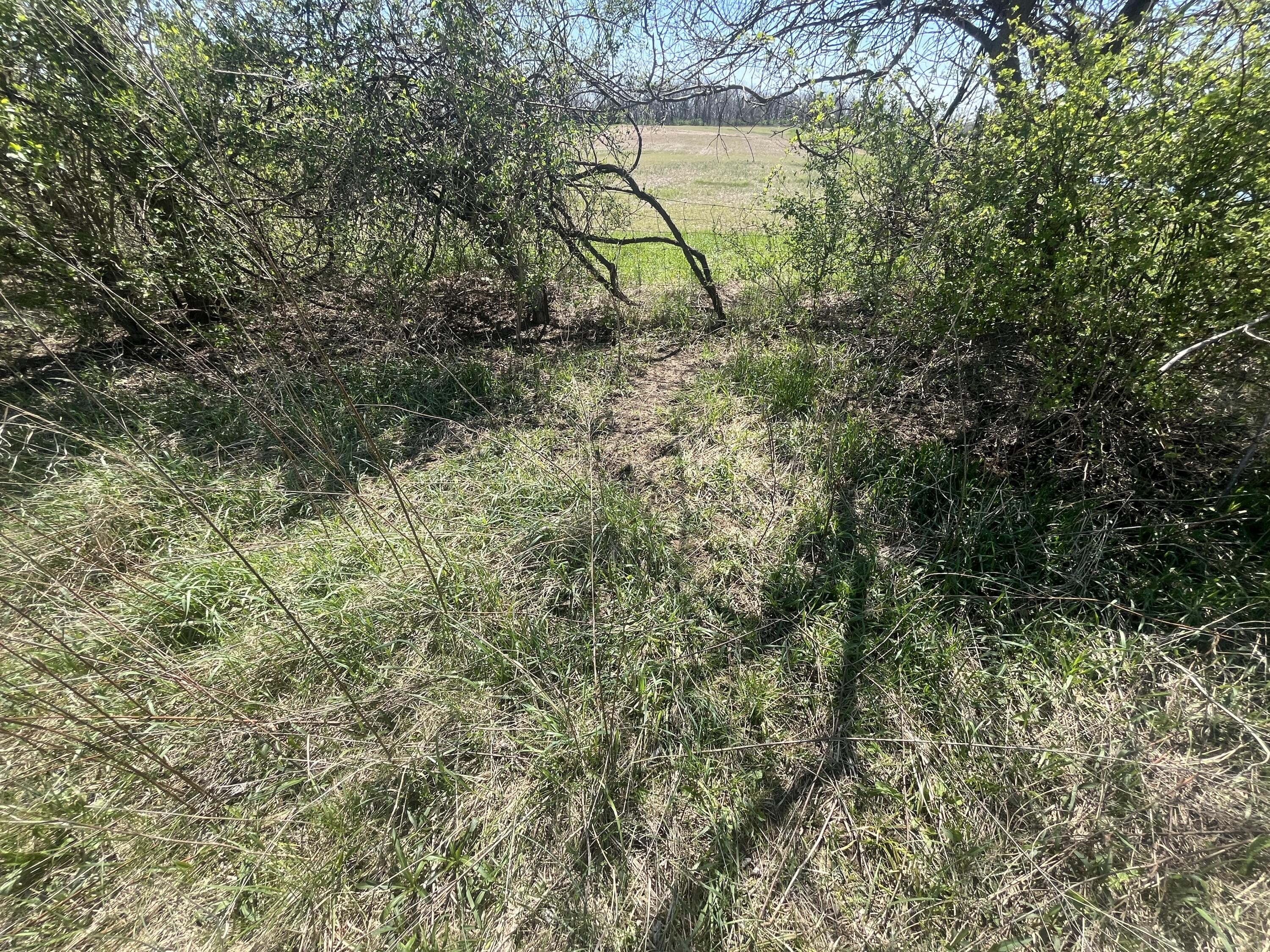 121 State Property Photo 34