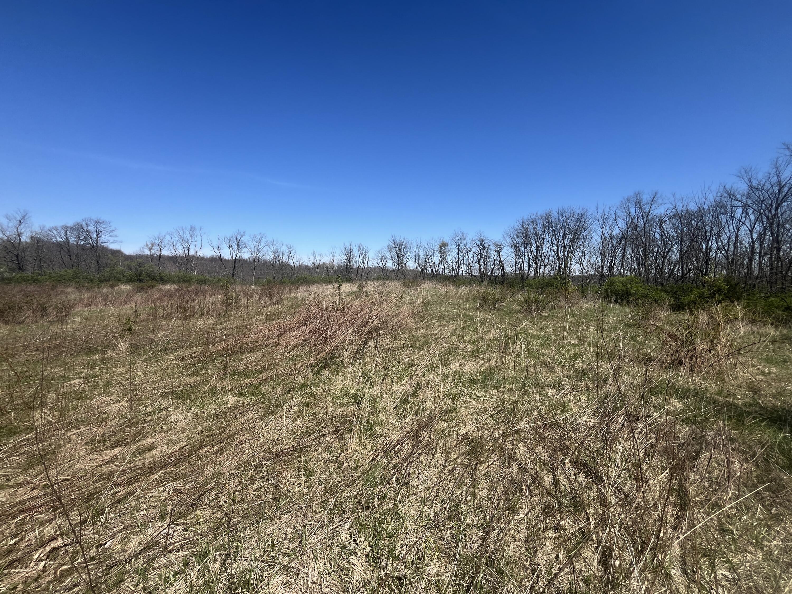 121 State Property Photo 36