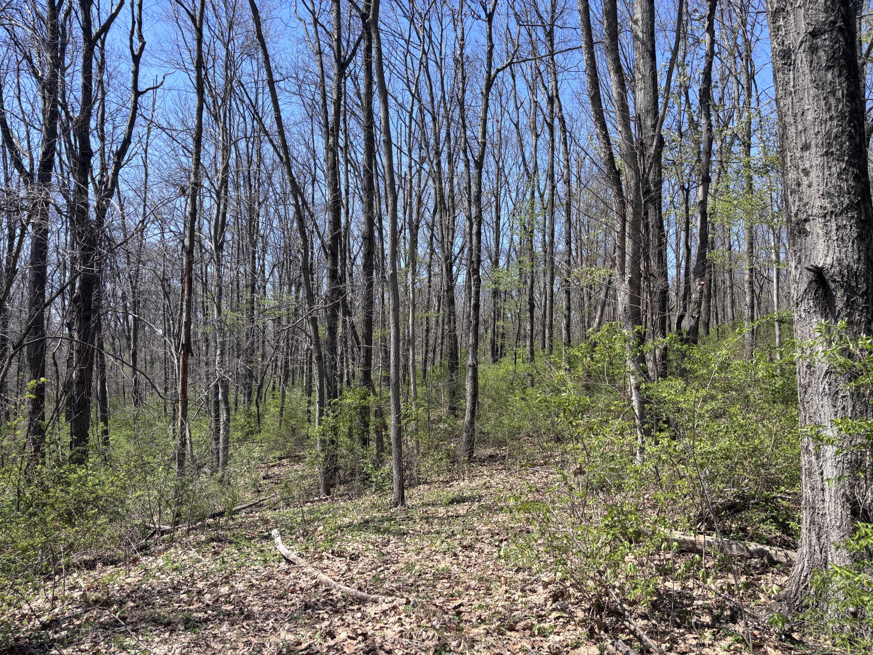 121 State Property Photo 37