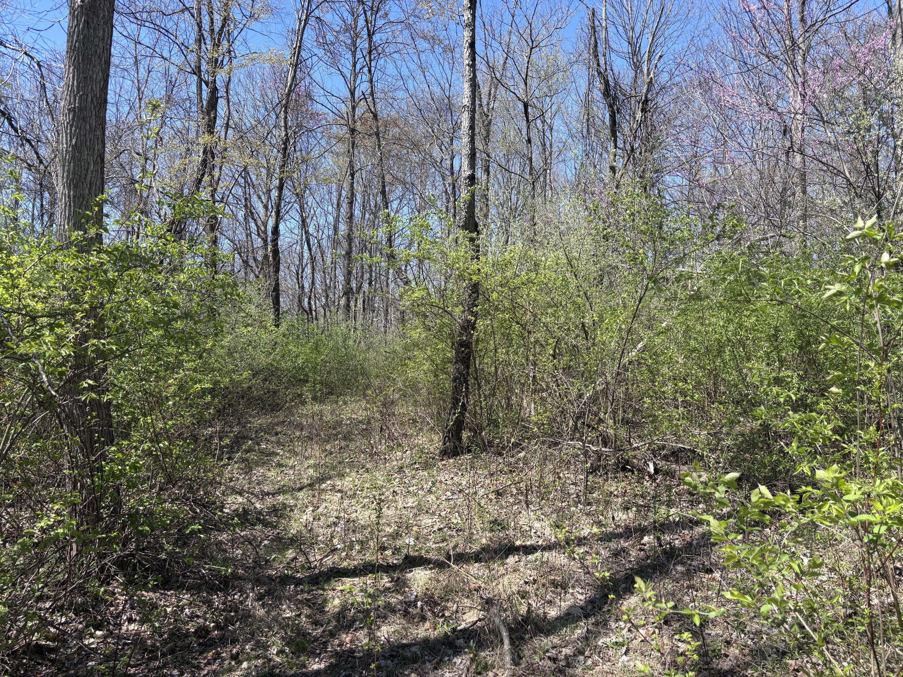 121 State Property Photo 38